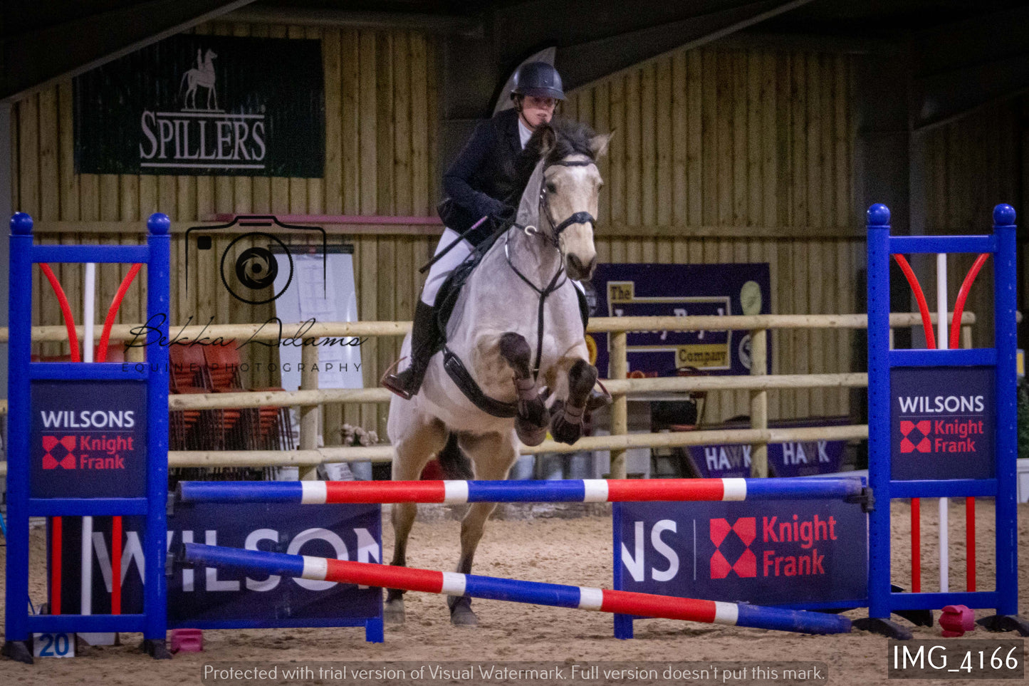 Home Farm Jumping 19th February - Seniors