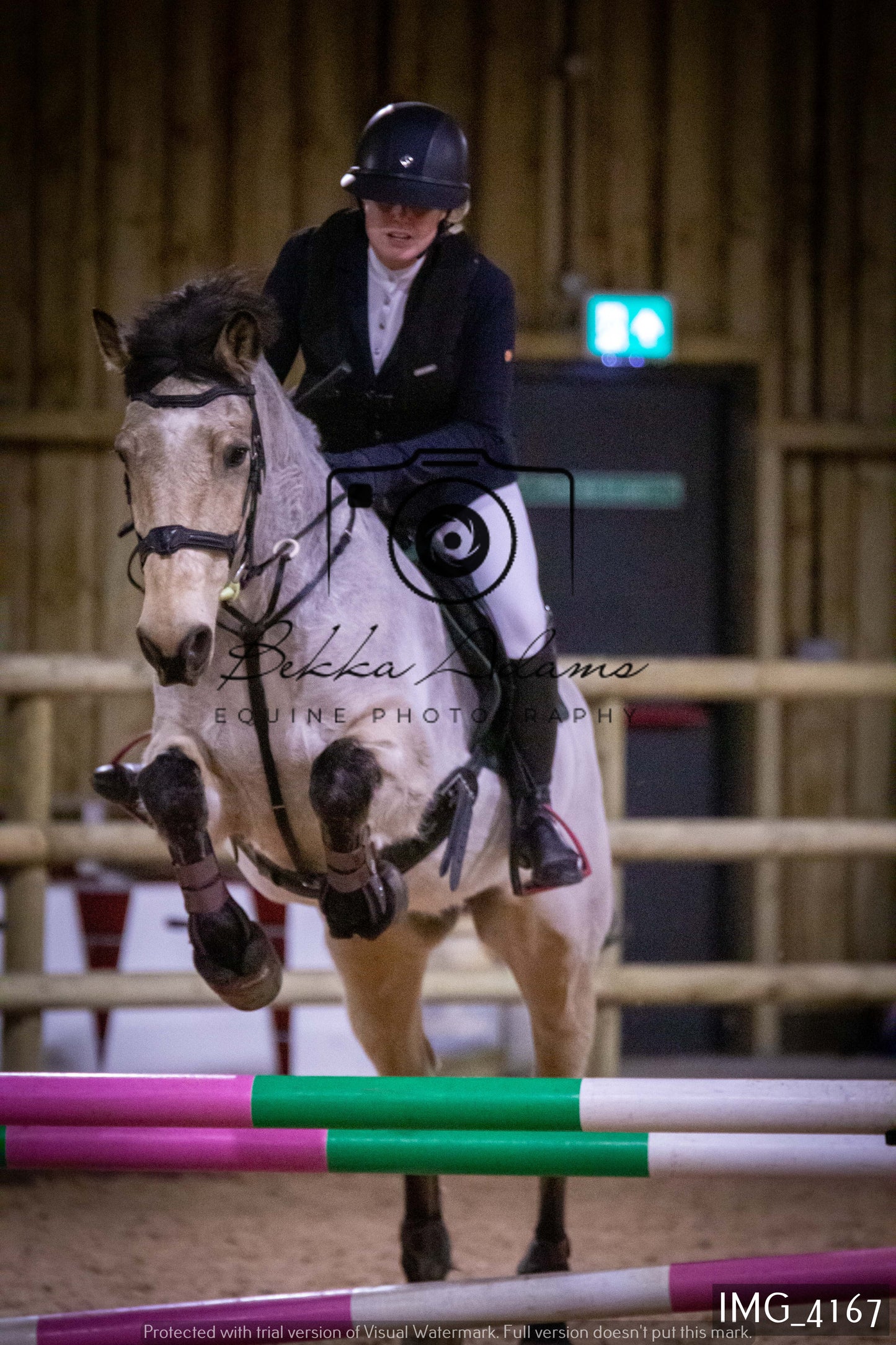 Home Farm Jumping 19th February - Seniors