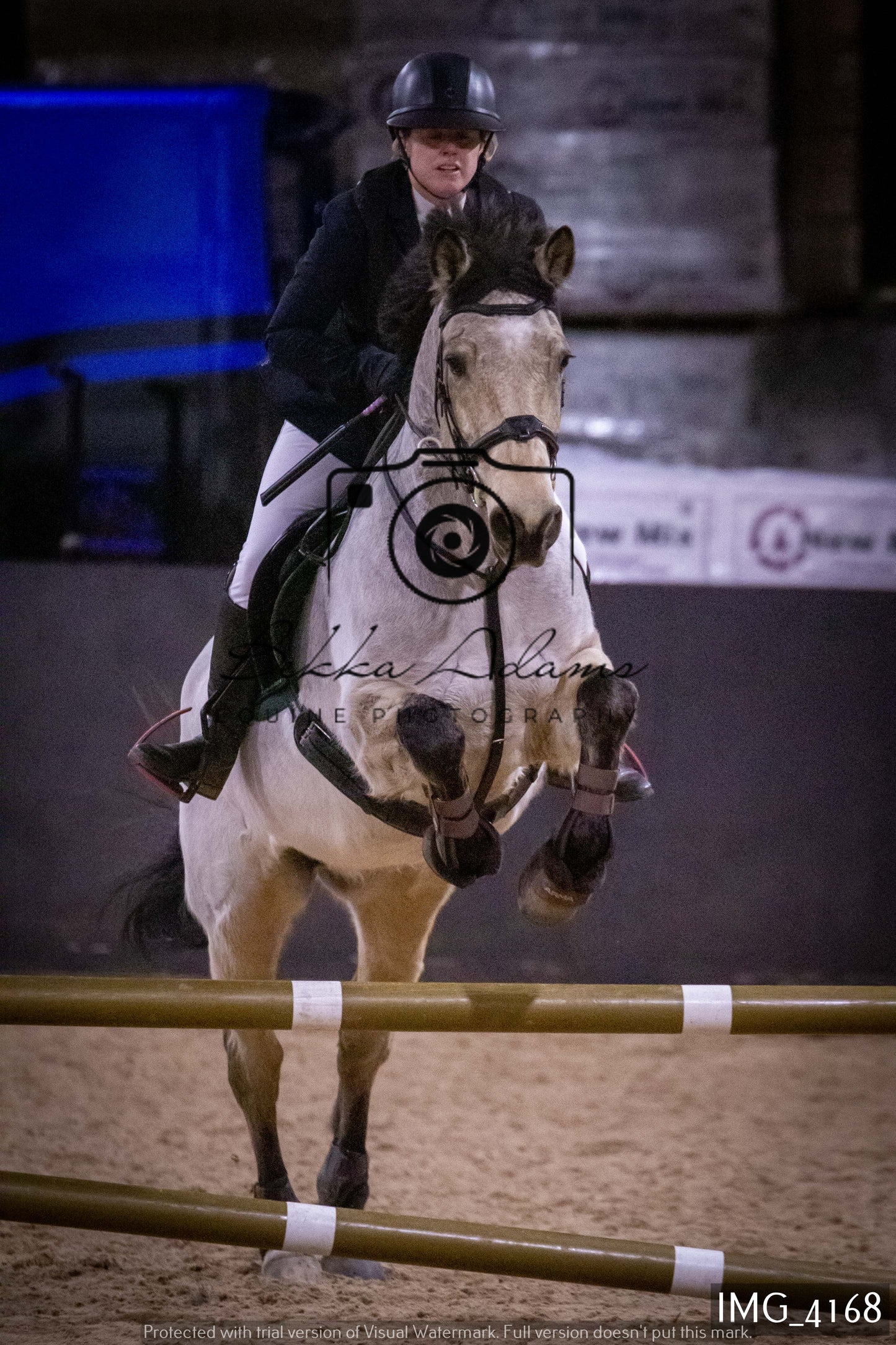 Home Farm Jumping 19th February - Seniors