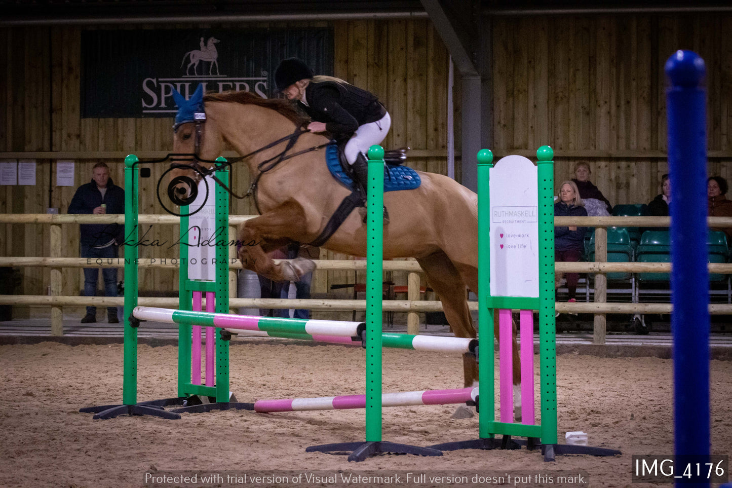 Home Farm Jumping 19th February - Seniors