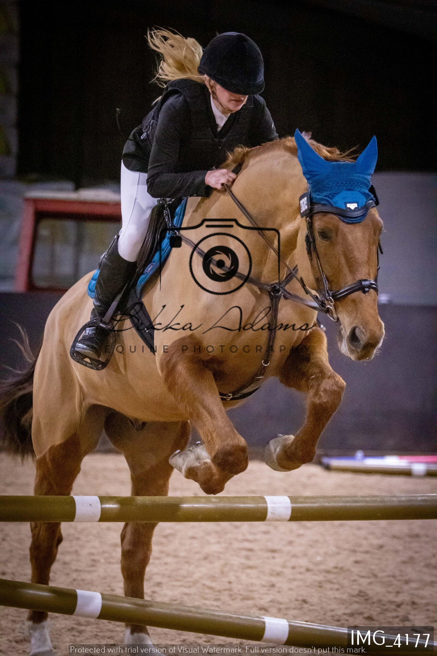 Home Farm Jumping 19th February - Seniors