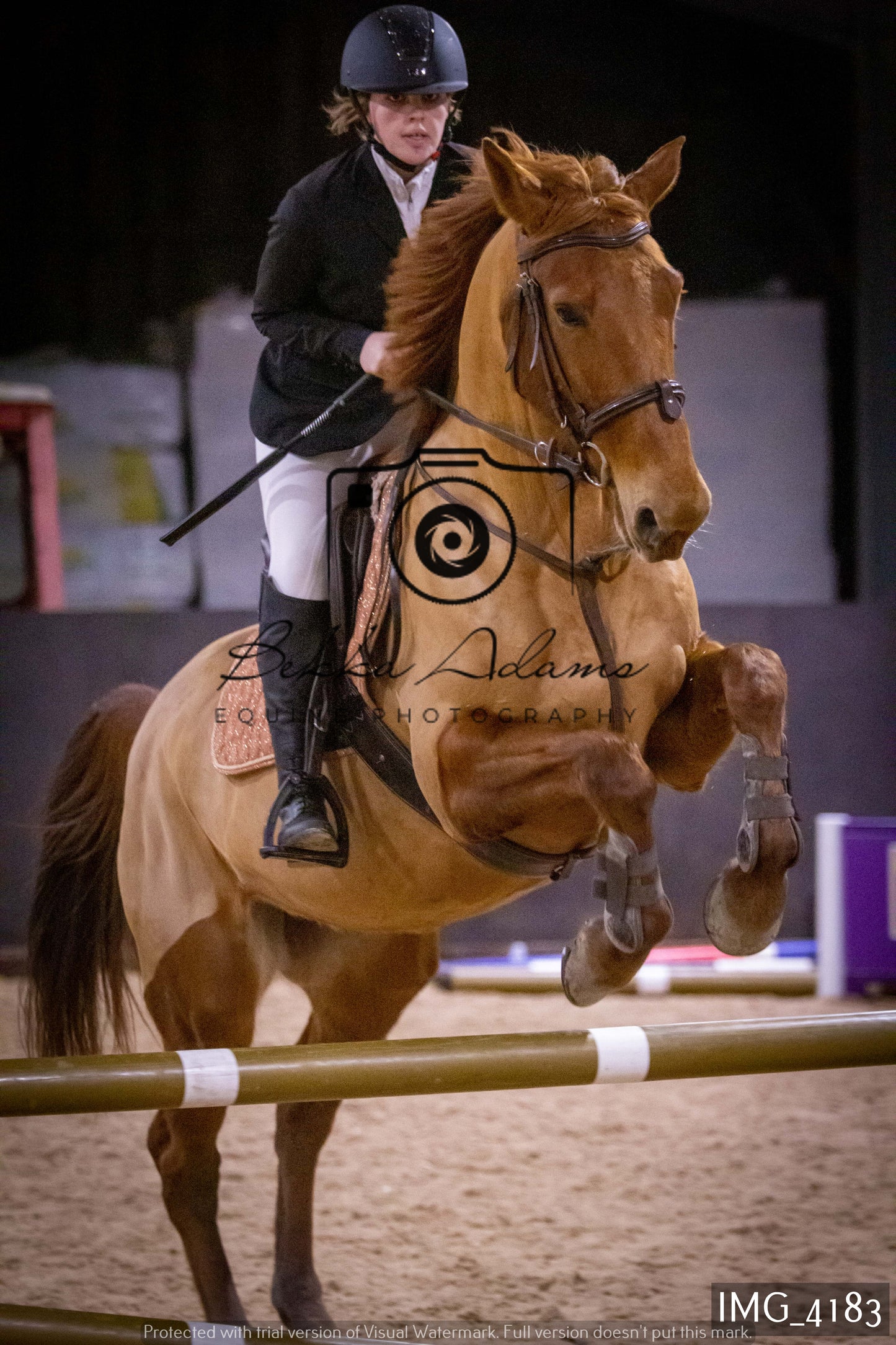 Home Farm Jumping 19th February - Seniors