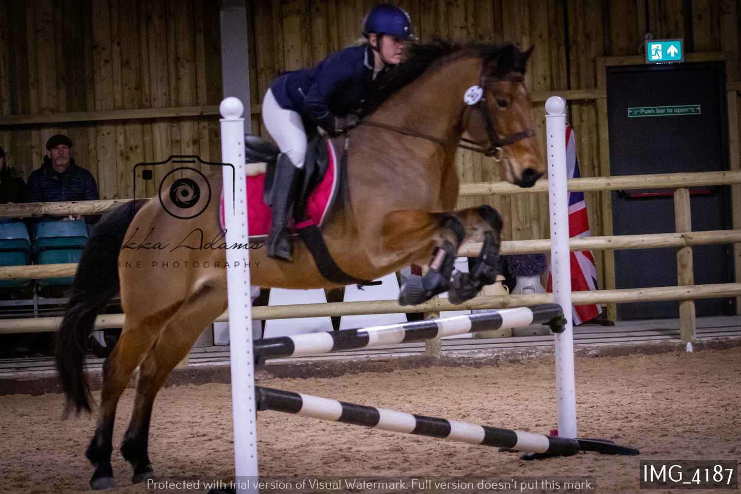 Home Farm Jumping 19th February - Seniors