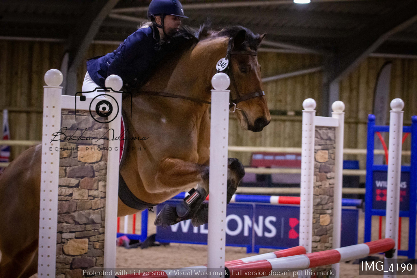 Home Farm Jumping 19th February - Seniors