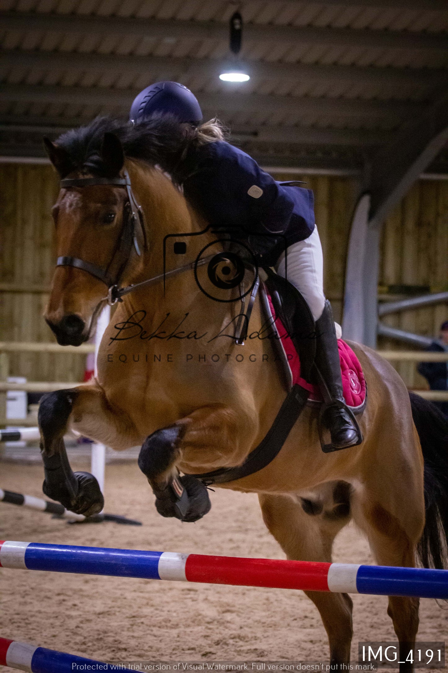 Home Farm Jumping 19th February - Seniors