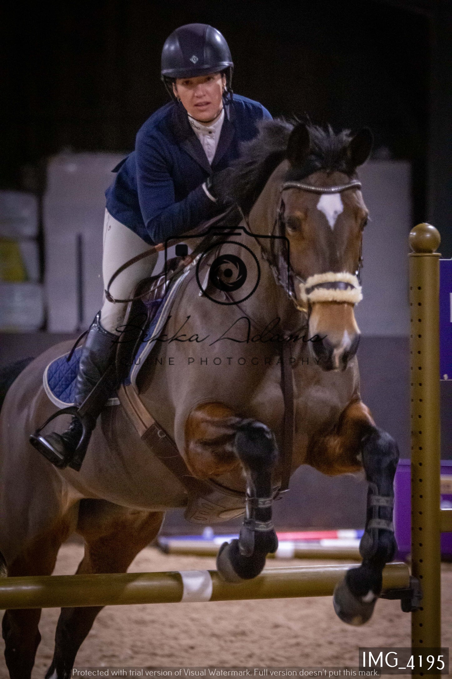 Home Farm Jumping 19th February - Seniors