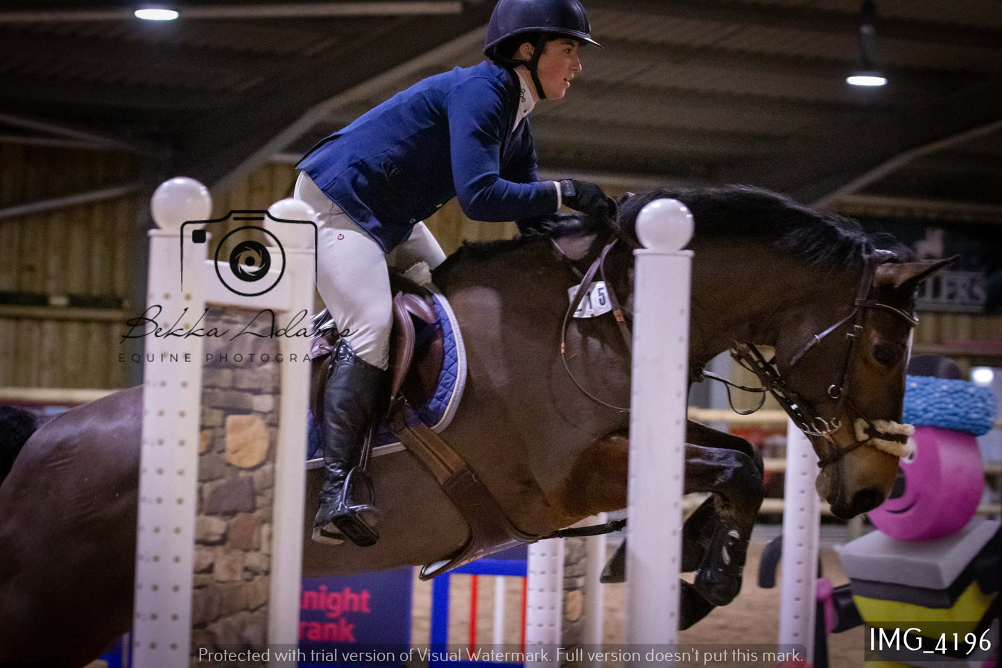 Home Farm Jumping 19th February - Seniors