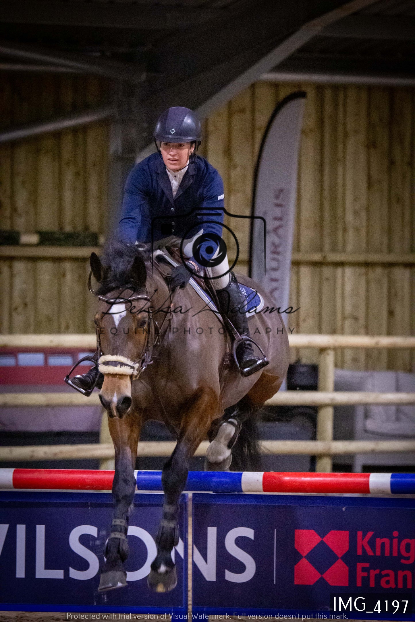 Home Farm Jumping 19th February - Seniors
