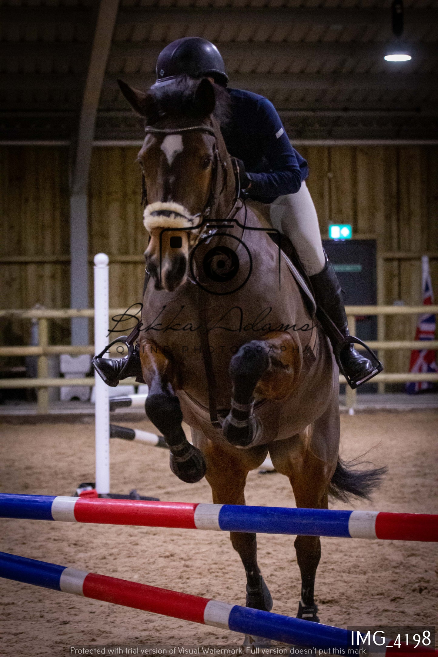 Home Farm Jumping 19th February - Seniors