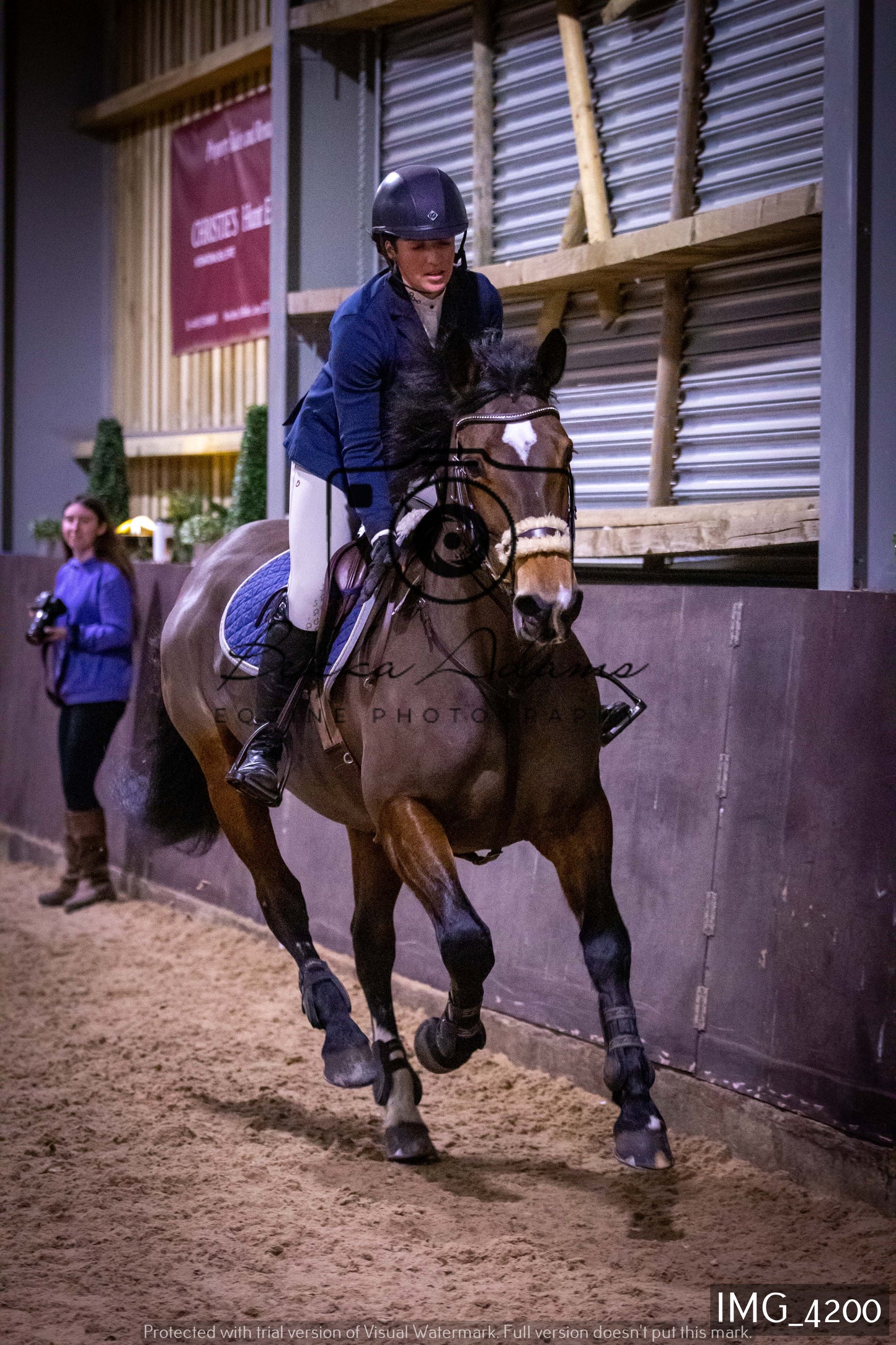 Home Farm Jumping 19th February - Seniors