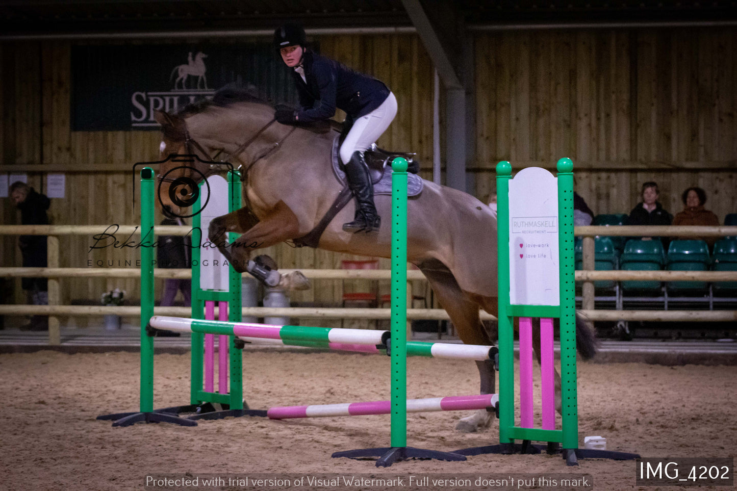 Home Farm Jumping 19th February - Seniors