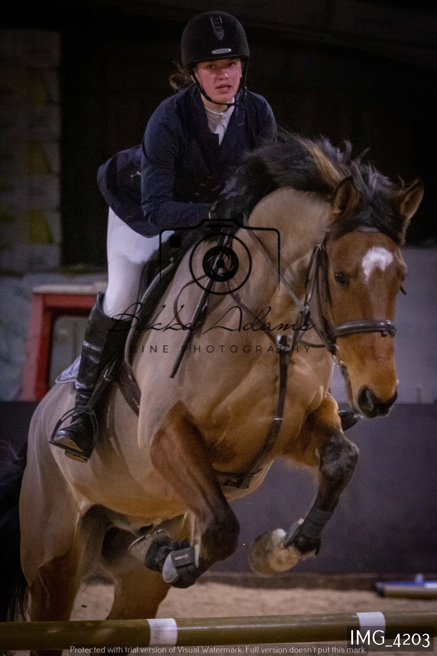 Home Farm Jumping 19th February - Seniors