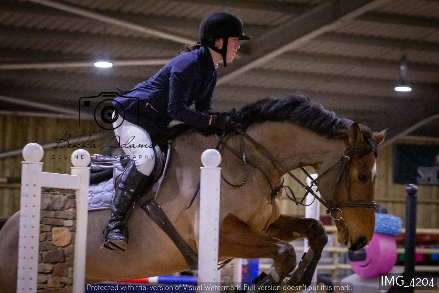 Home Farm Jumping 19th February - Seniors