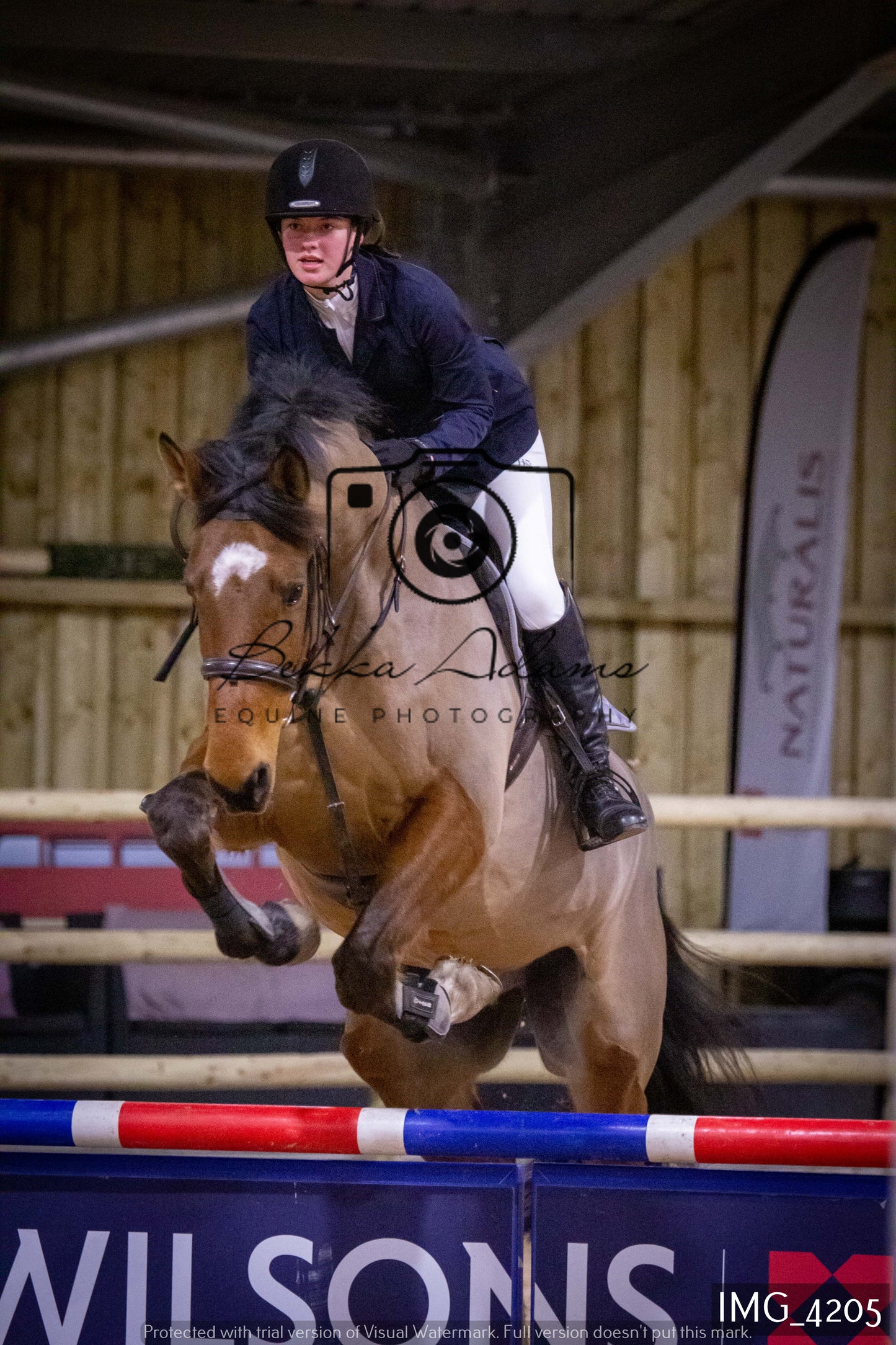 Home Farm Jumping 19th February - Seniors