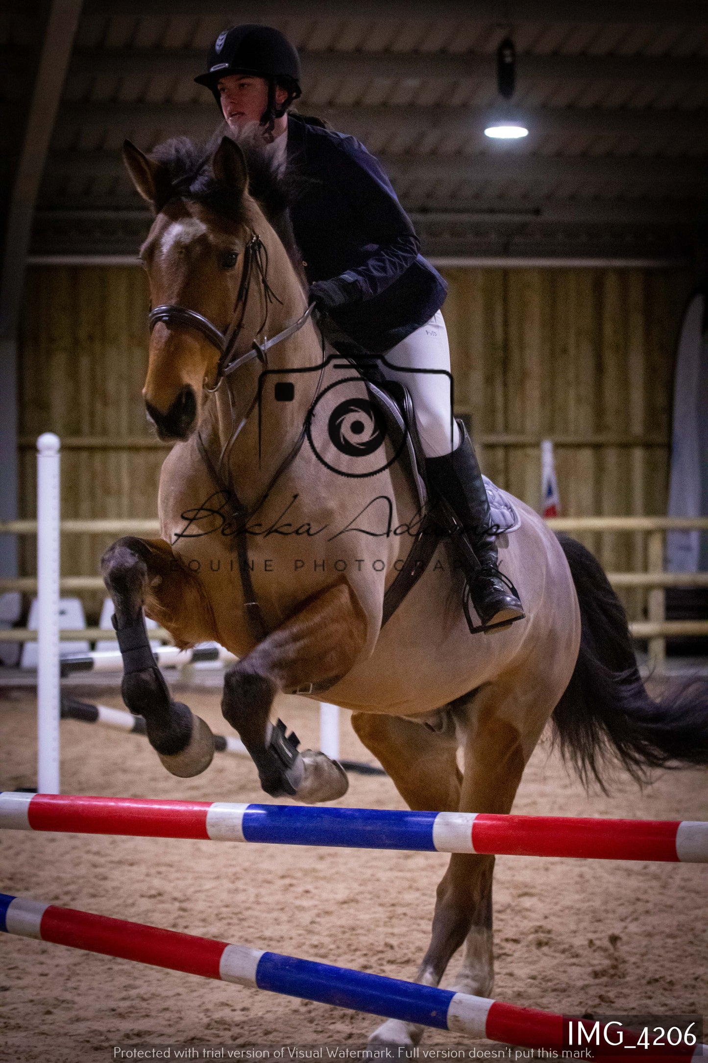 Home Farm Jumping 19th February - Seniors