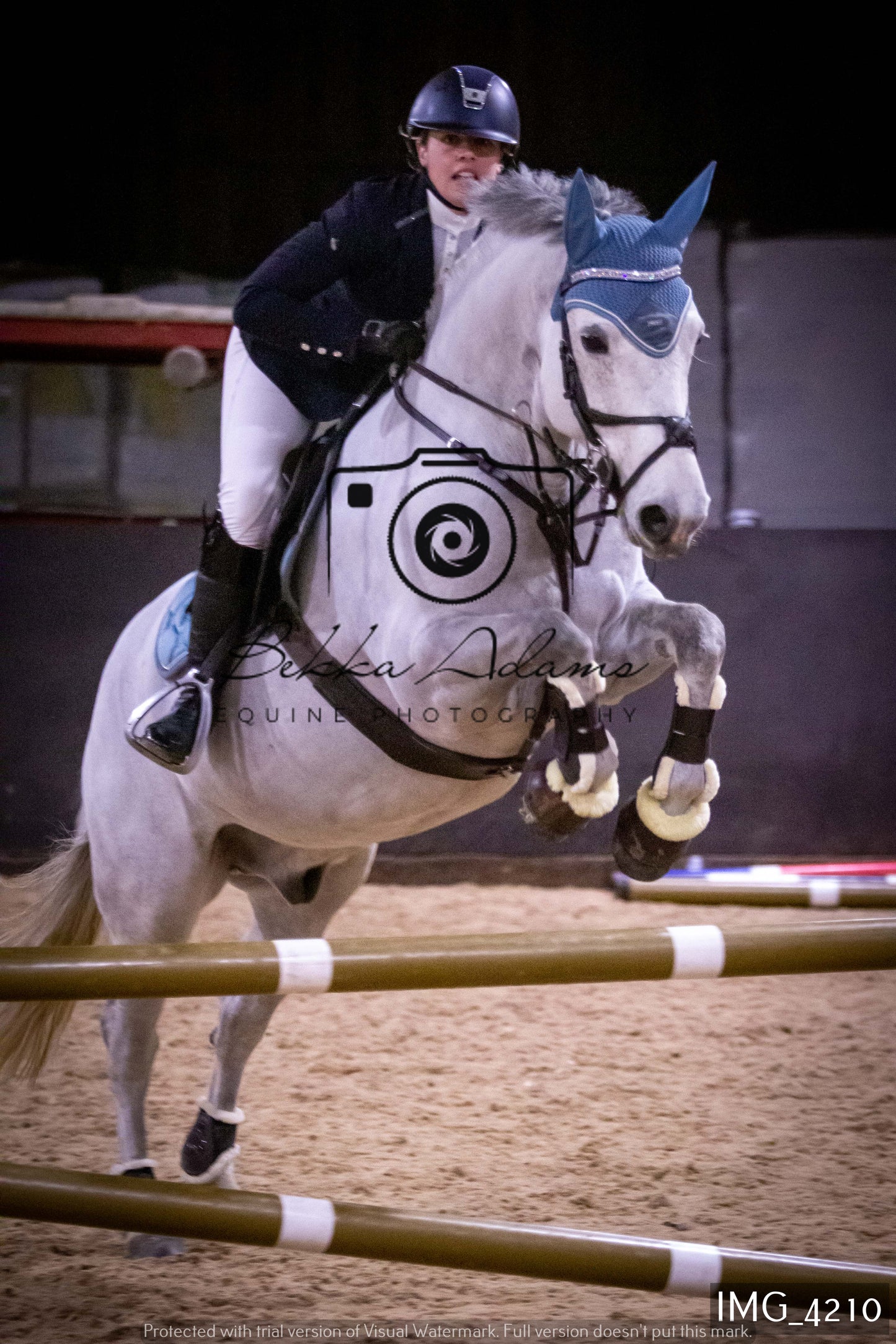 Home Farm Jumping 19th February - Seniors
