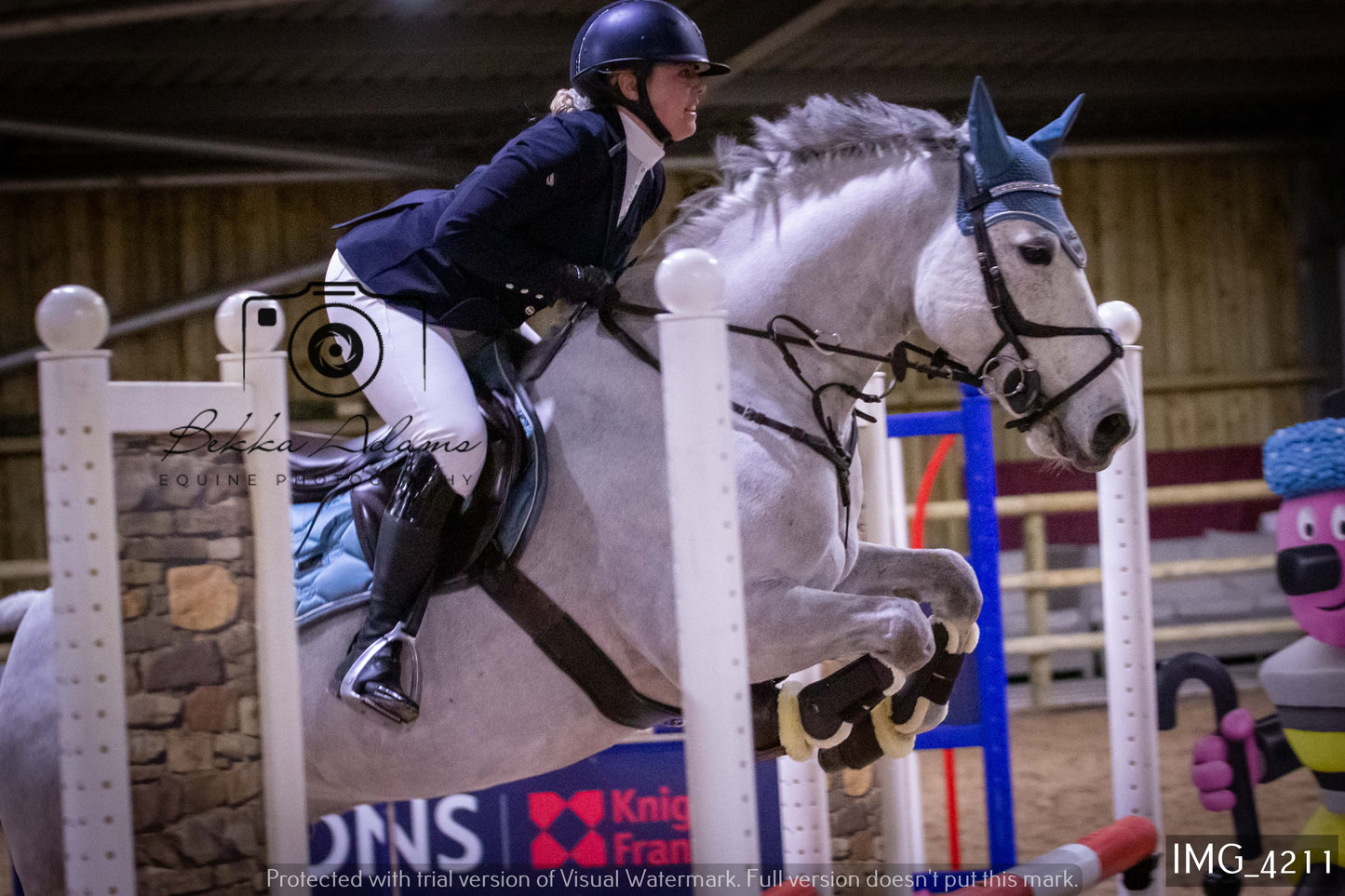 Home Farm Jumping 19th February - Seniors