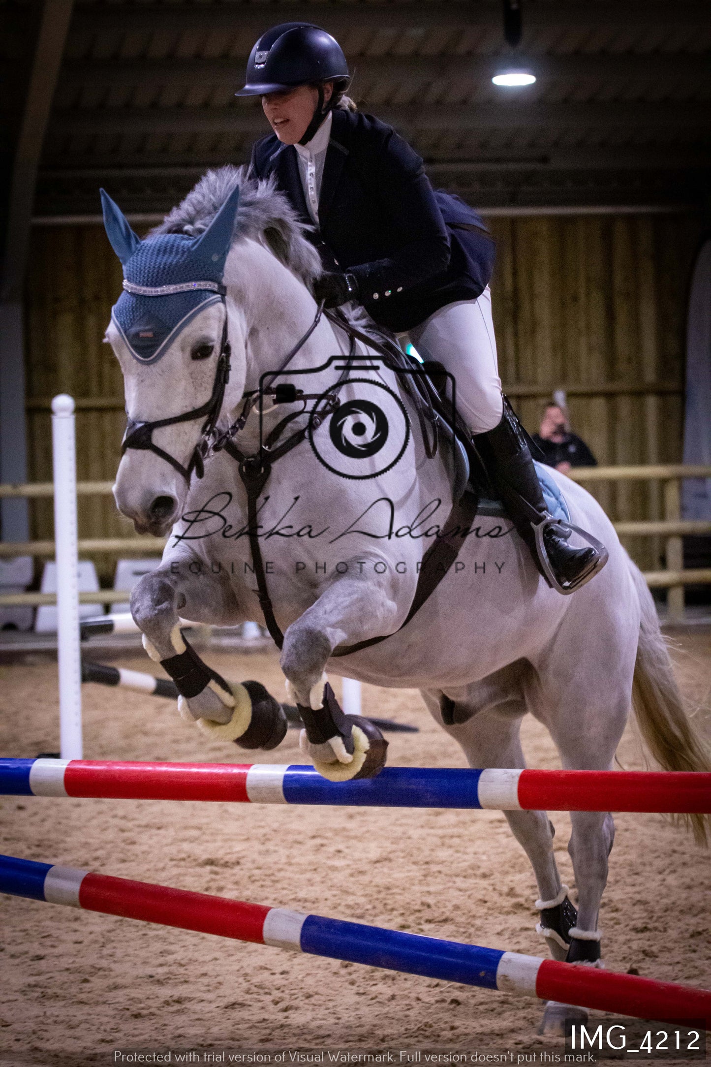 Home Farm Jumping 19th February - Seniors
