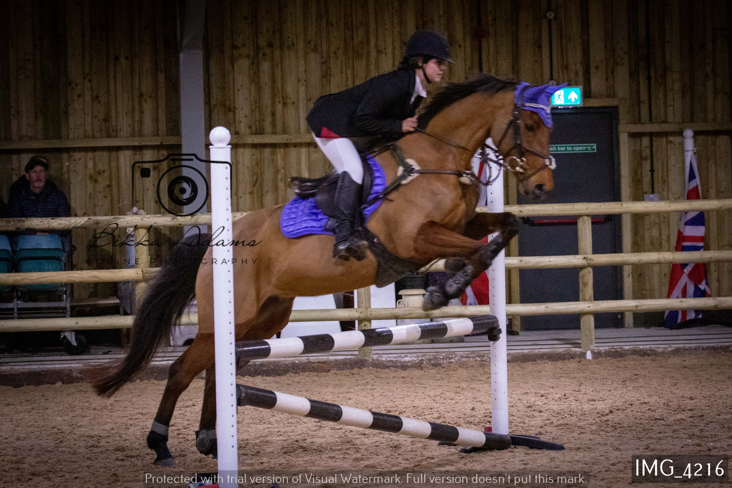 Home Farm Jumping 19th February - Seniors