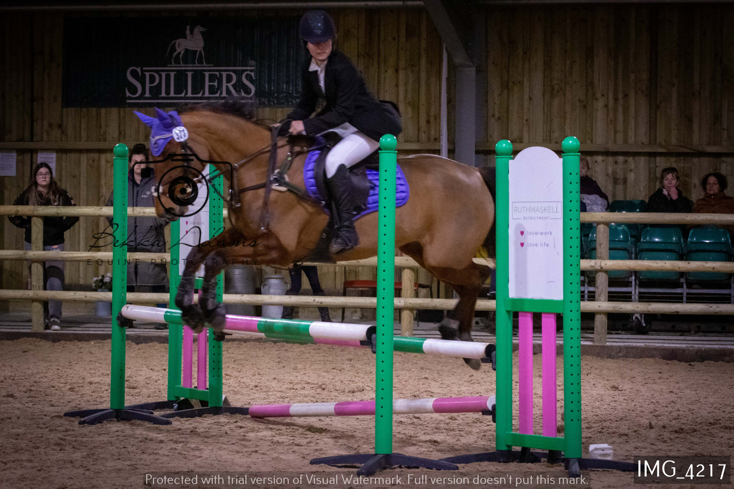 Home Farm Jumping 19th February - Seniors
