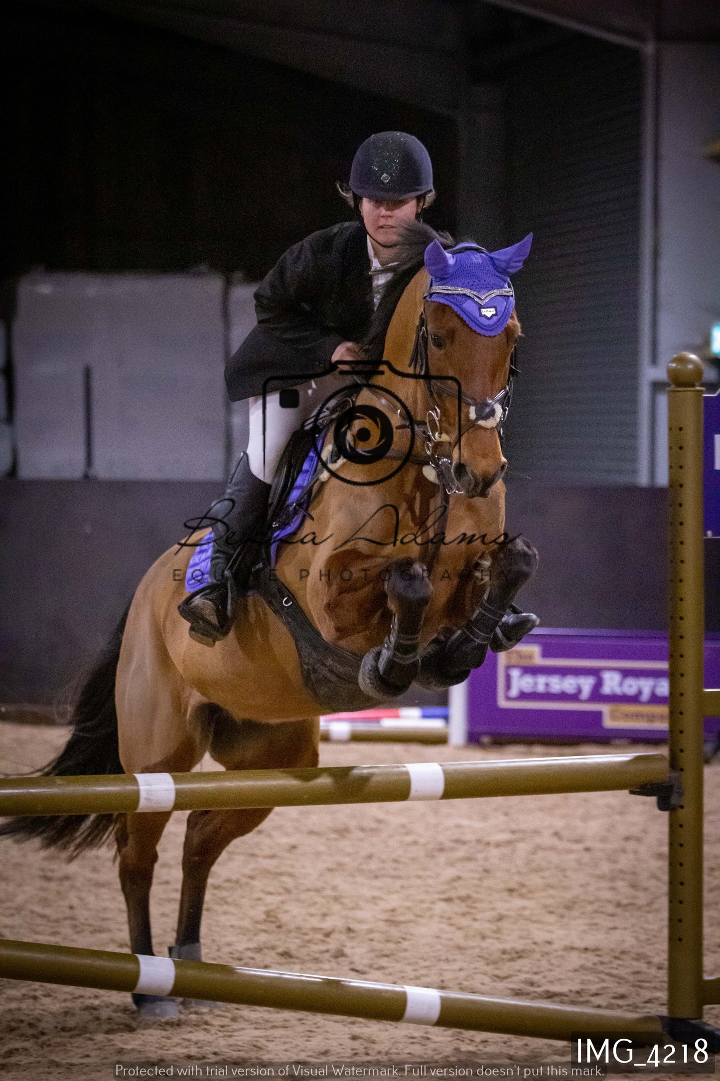 Home Farm Jumping 19th February - Seniors
