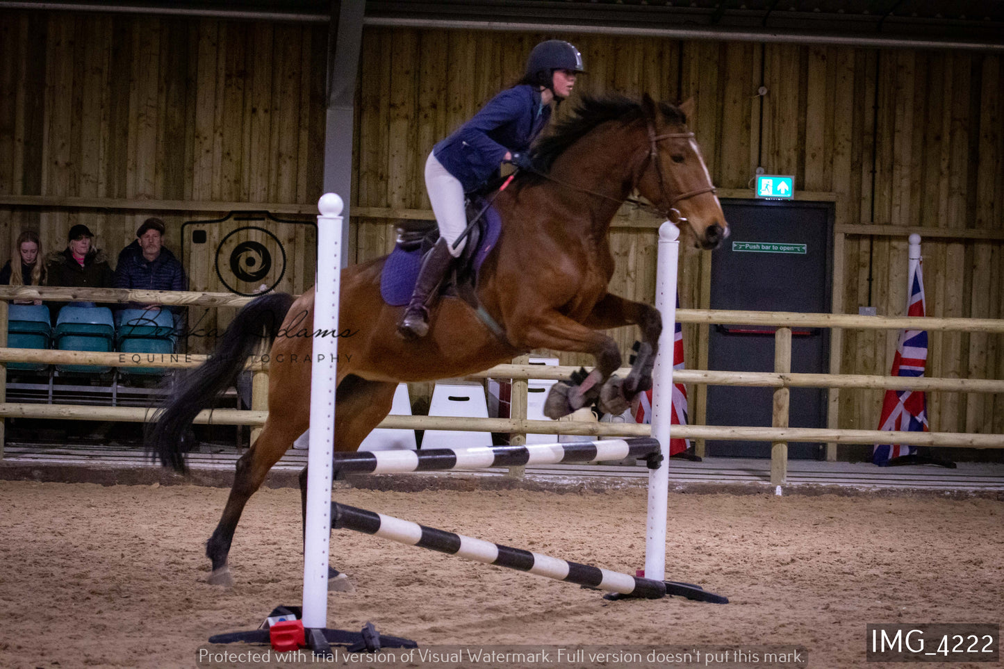 Home Farm Jumping 19th February - Seniors