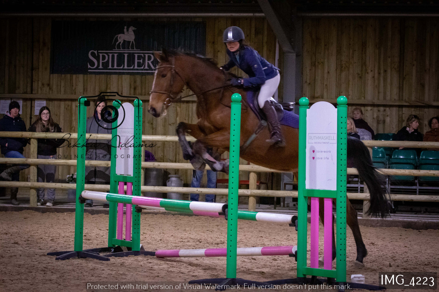 Home Farm Jumping 19th February - Seniors