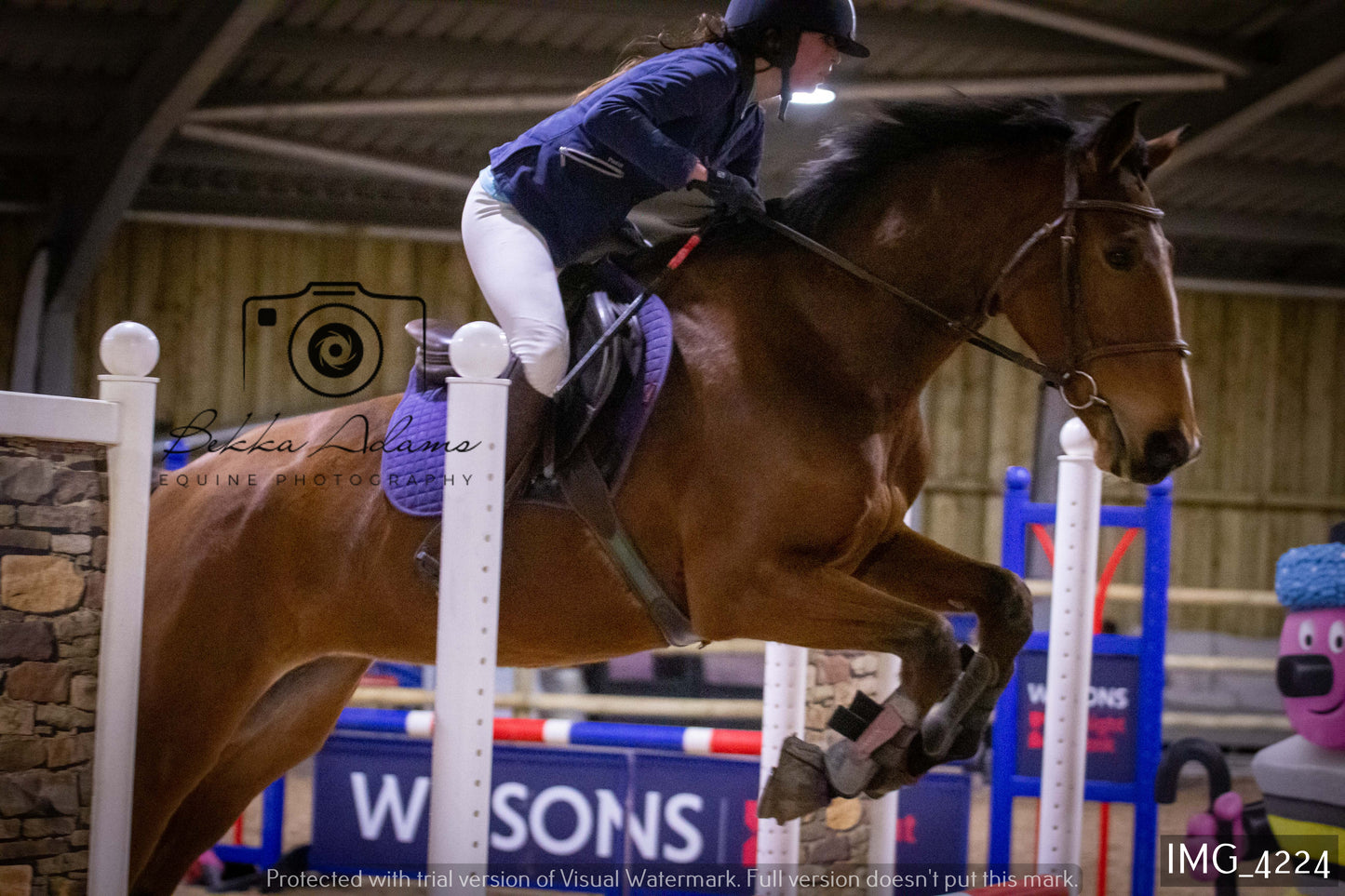 Home Farm Jumping 19th February - Seniors