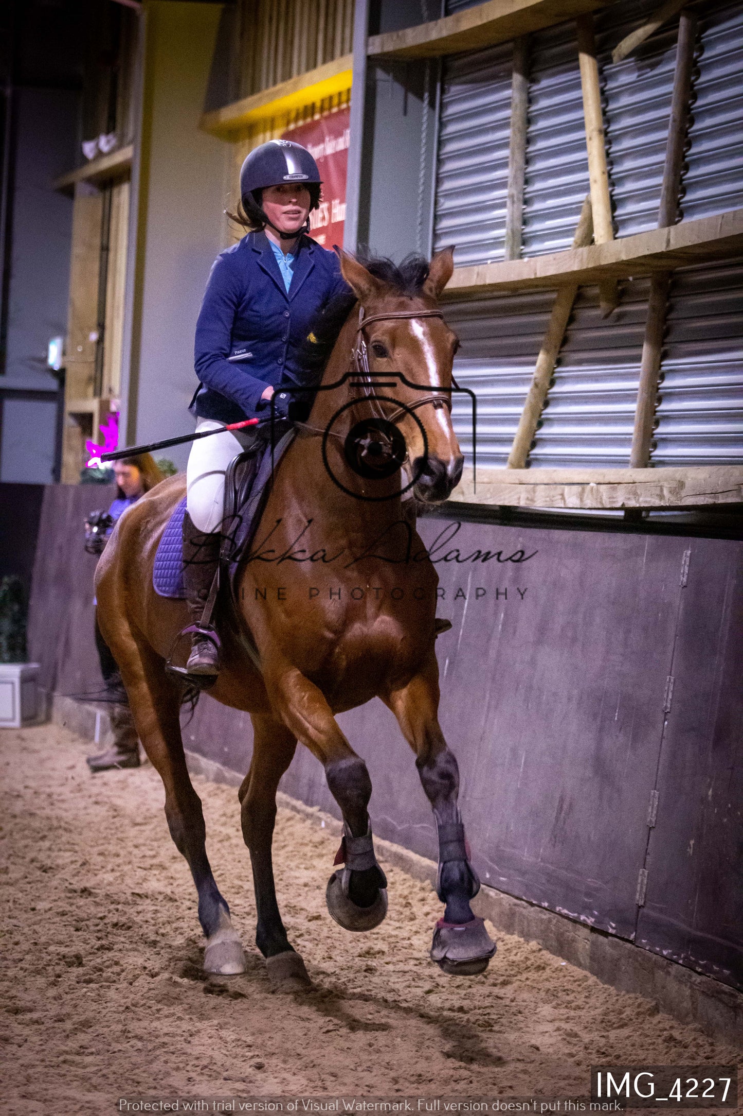 Home Farm Jumping 19th February - Seniors