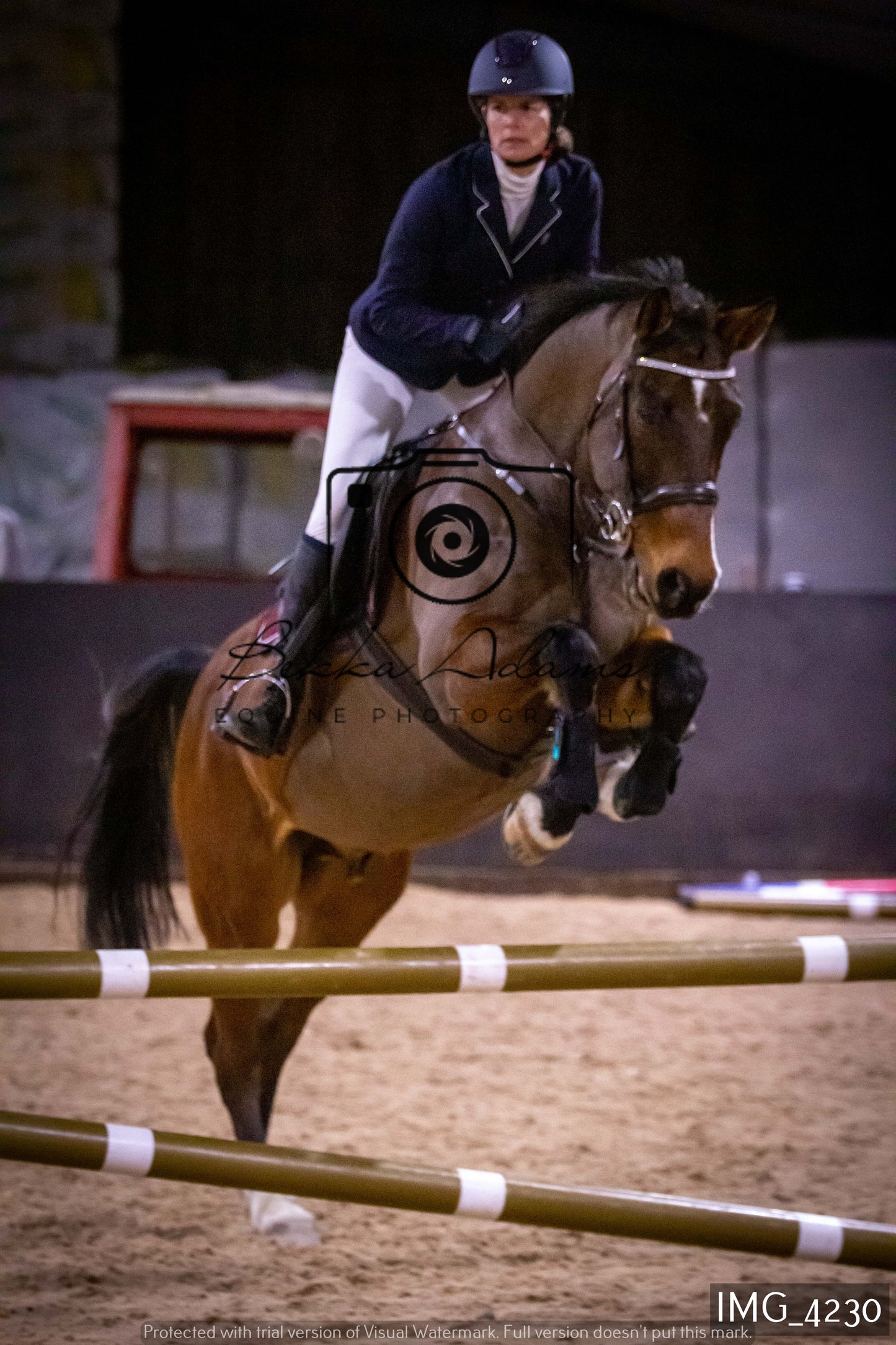 Home Farm Jumping 19th February - Seniors