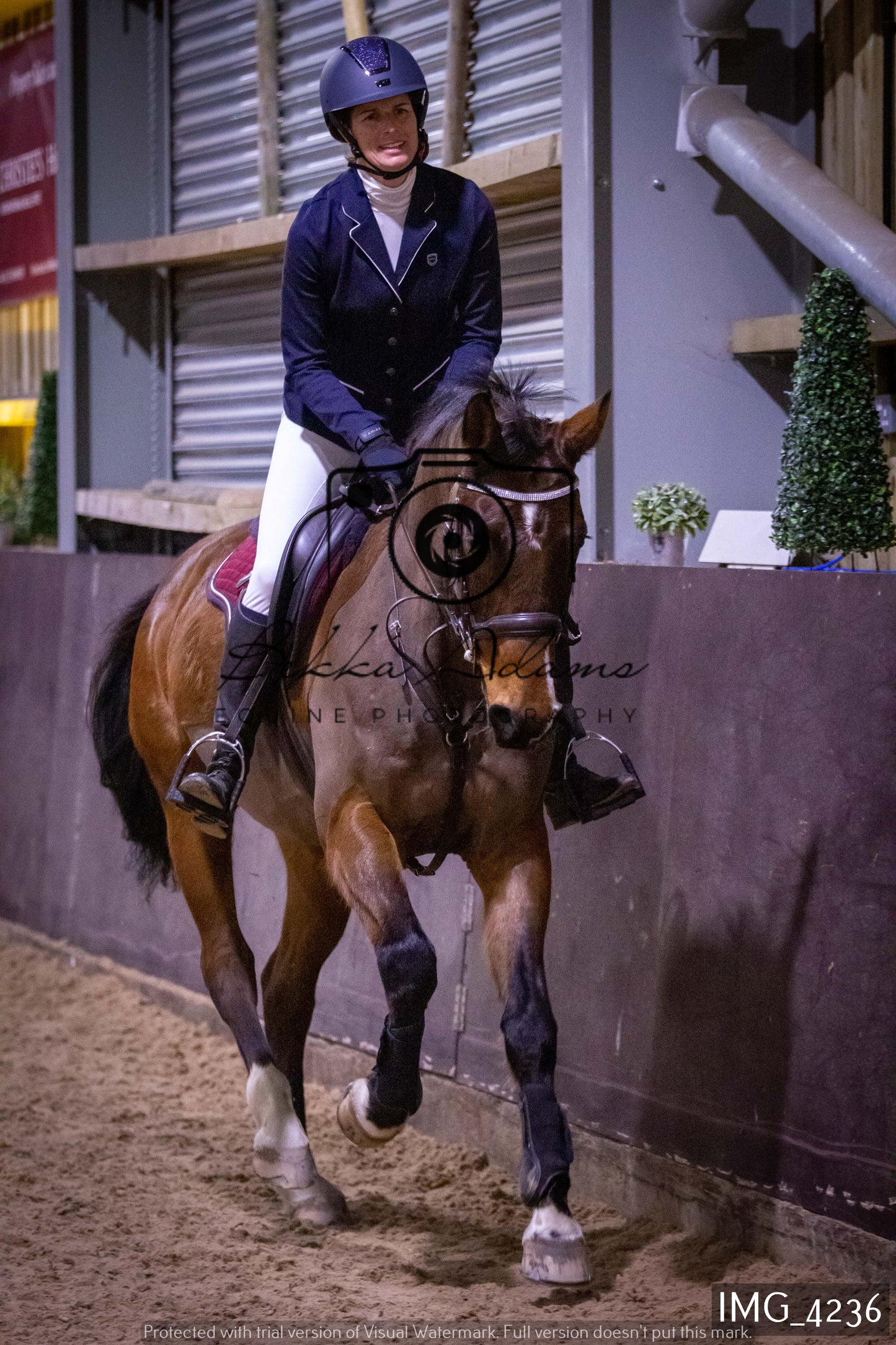 Home Farm Jumping 19th February - Seniors