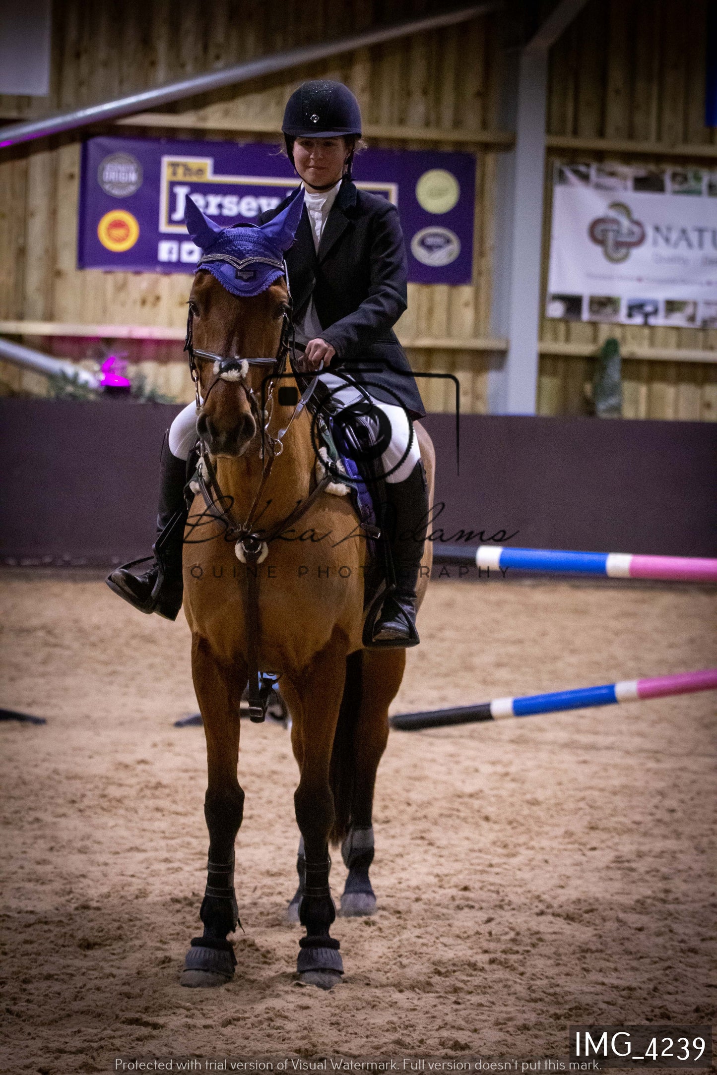 Home Farm Jumping 19th February - Seniors