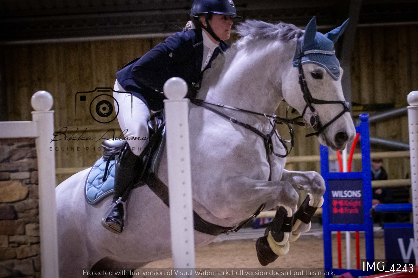 Home Farm Jumping 19th February - Seniors