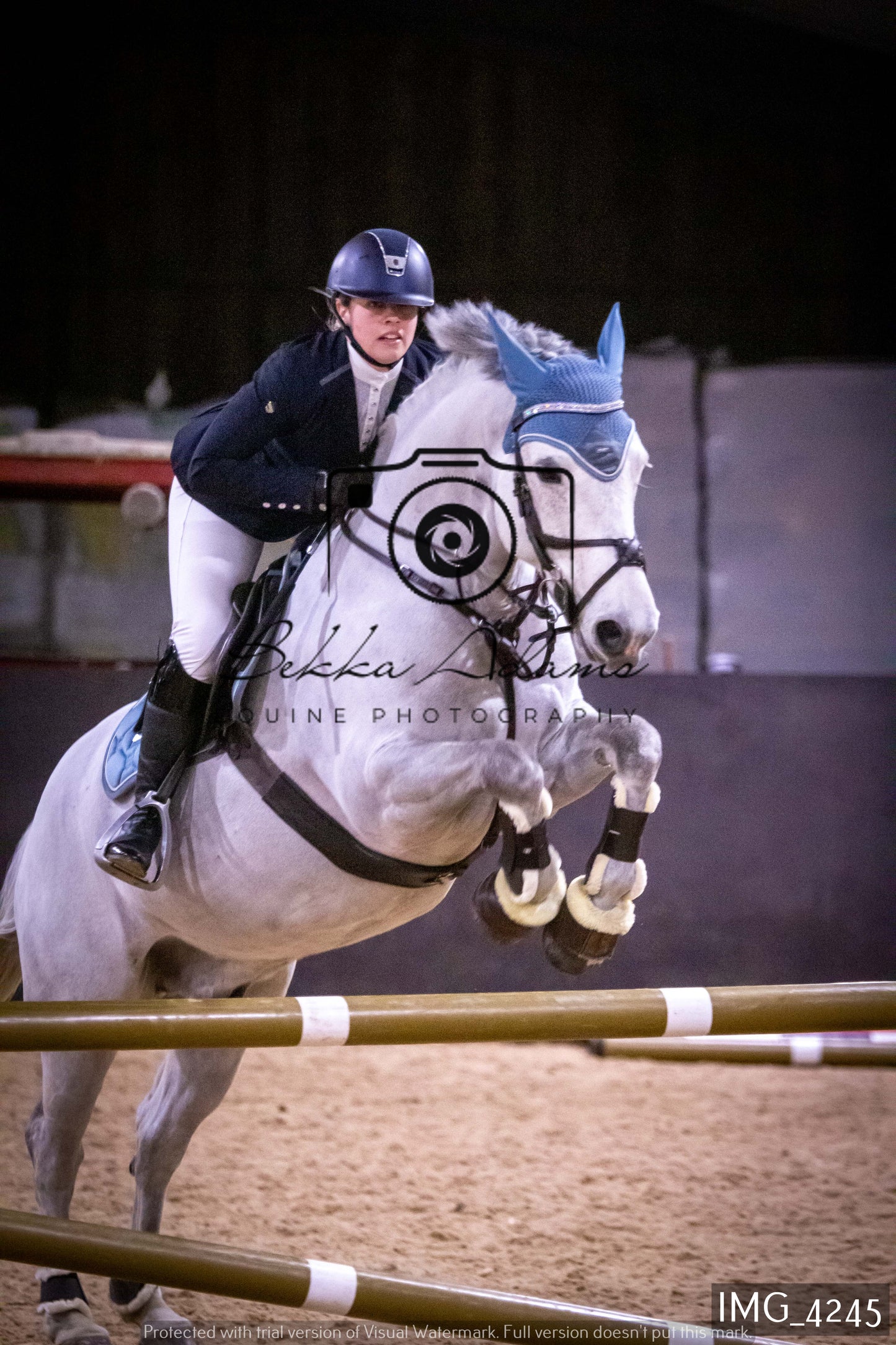 Home Farm Jumping 19th February - Seniors