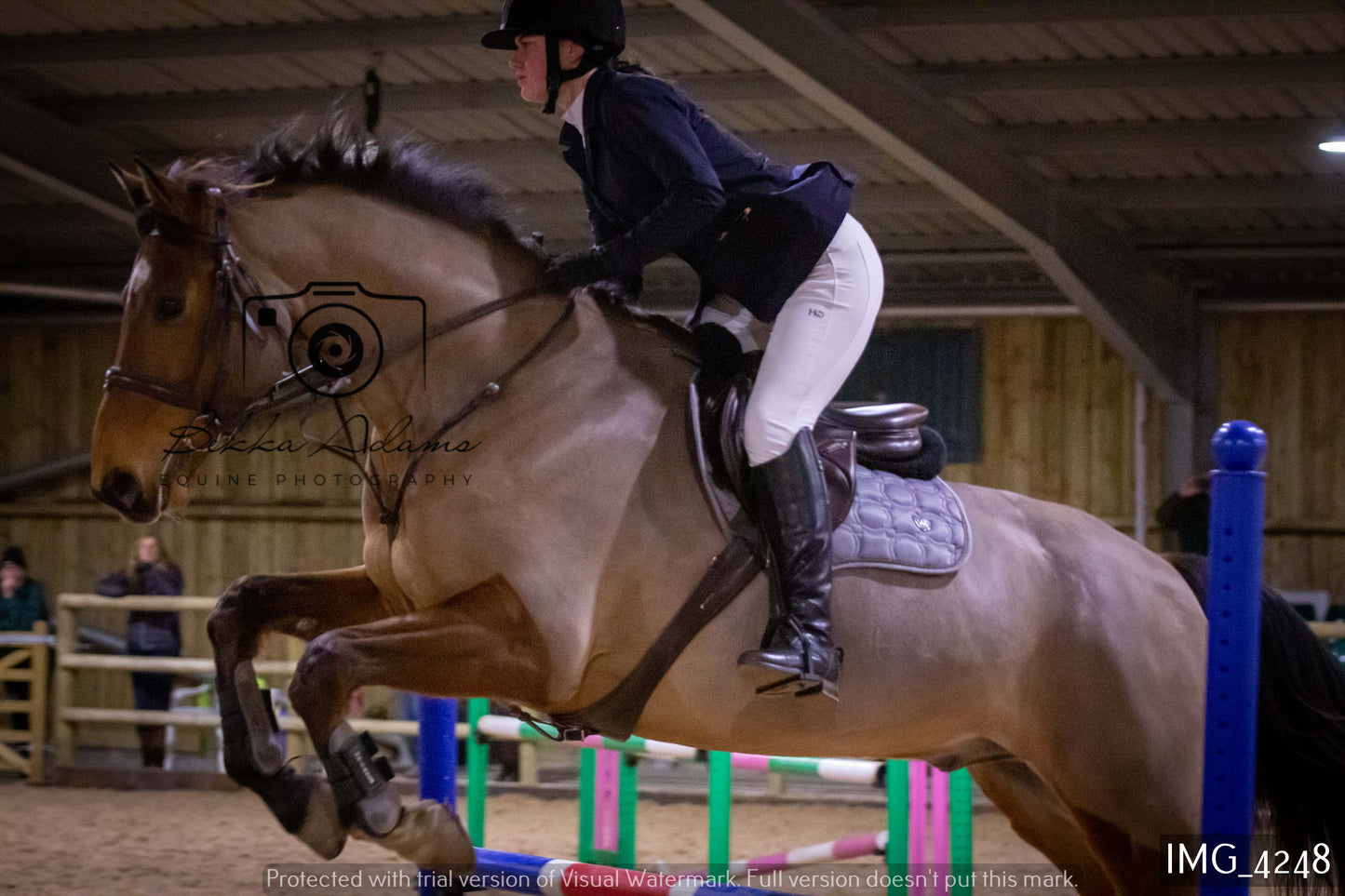 Home Farm Jumping 19th February - Seniors