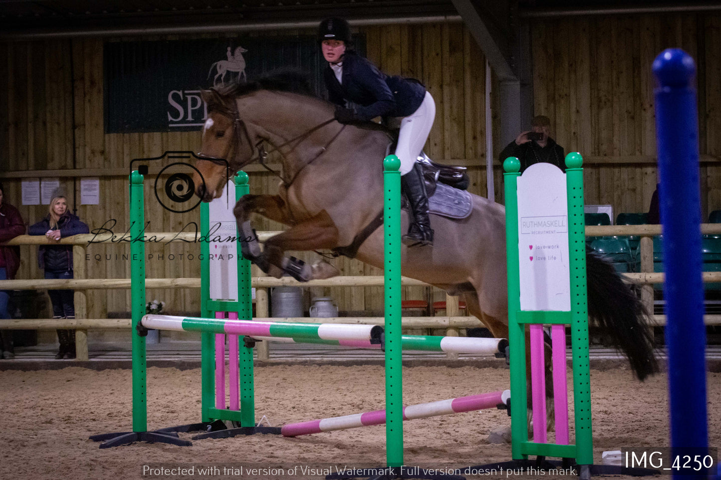 Home Farm Jumping 19th February - Seniors