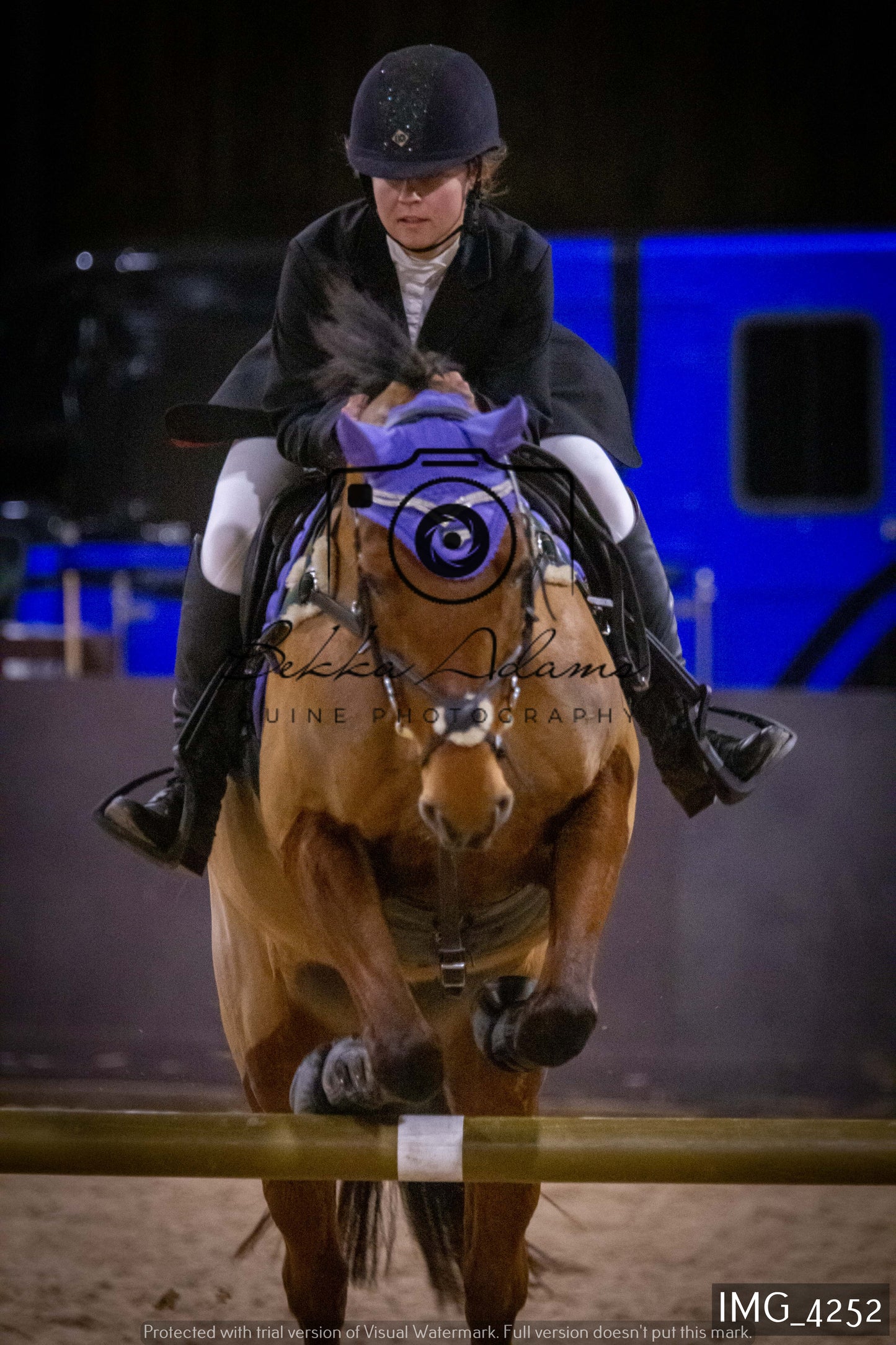 Home Farm Jumping 19th February - Seniors