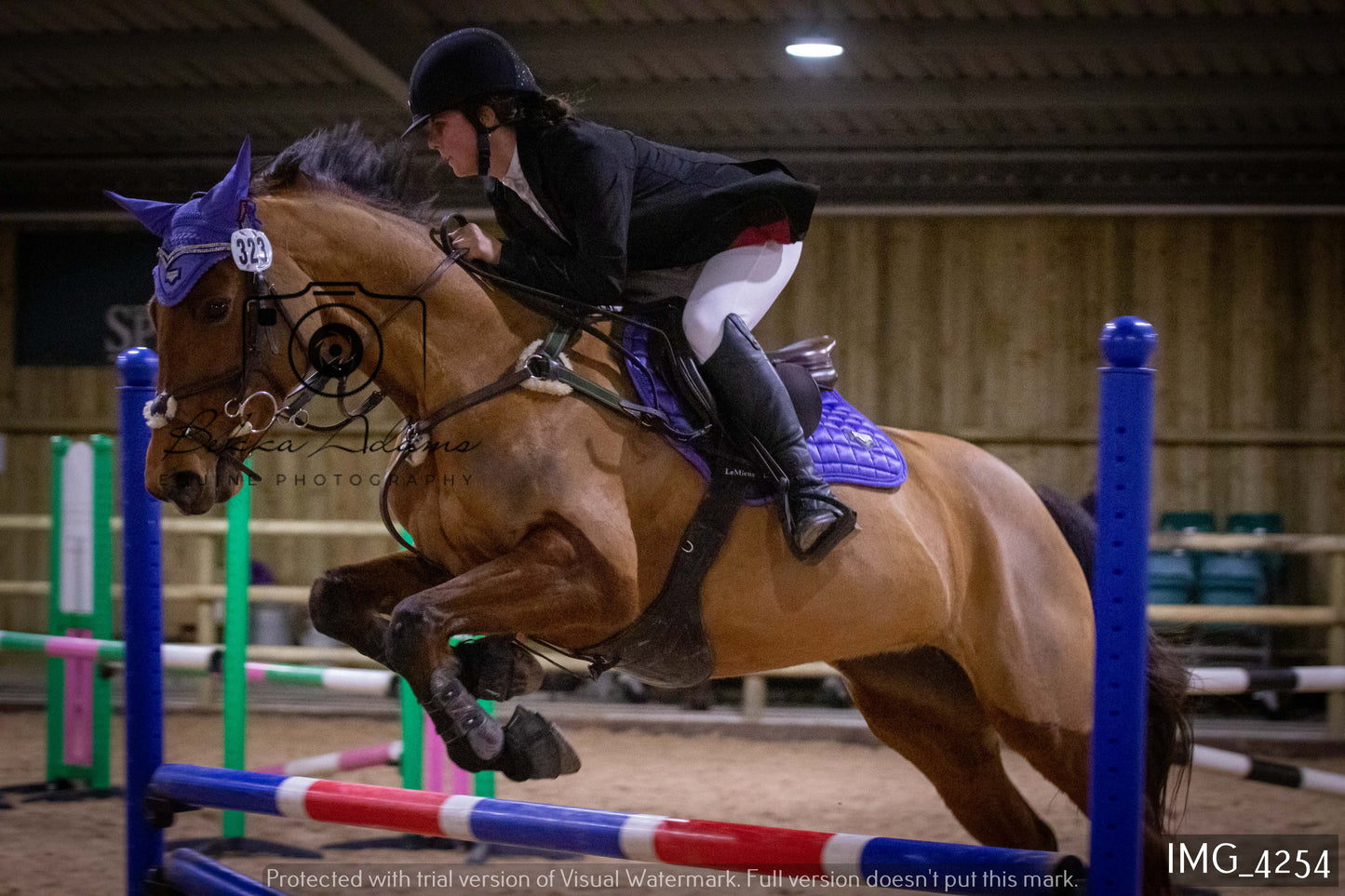 Home Farm Jumping 19th February - Seniors