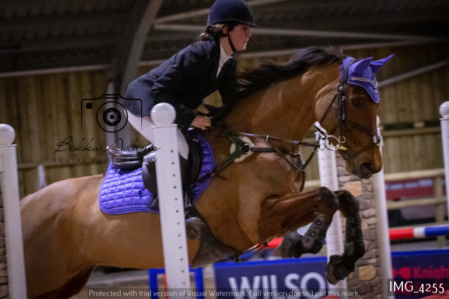 Home Farm Jumping 19th February - Seniors