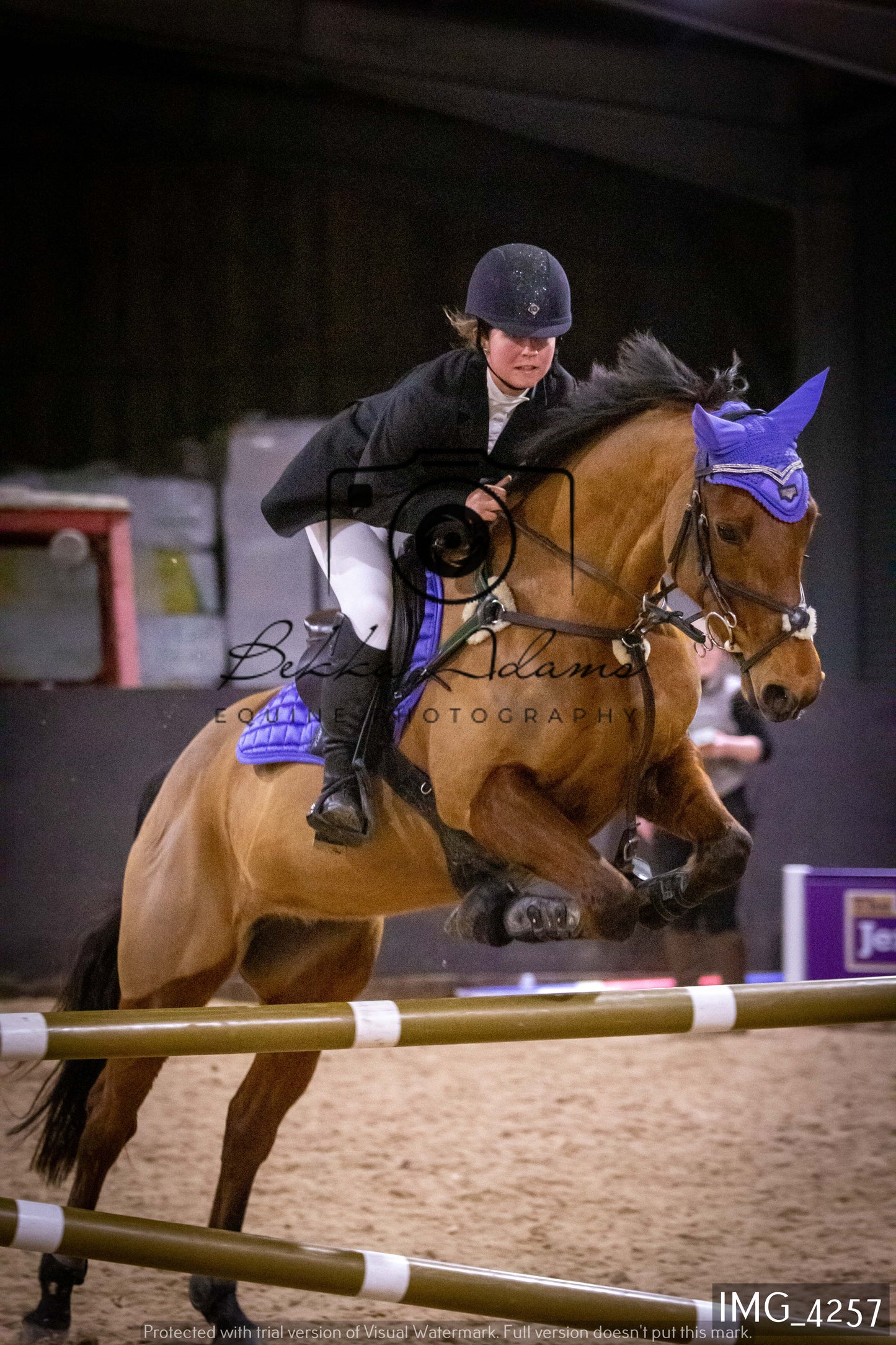 Home Farm Jumping 19th February - Seniors
