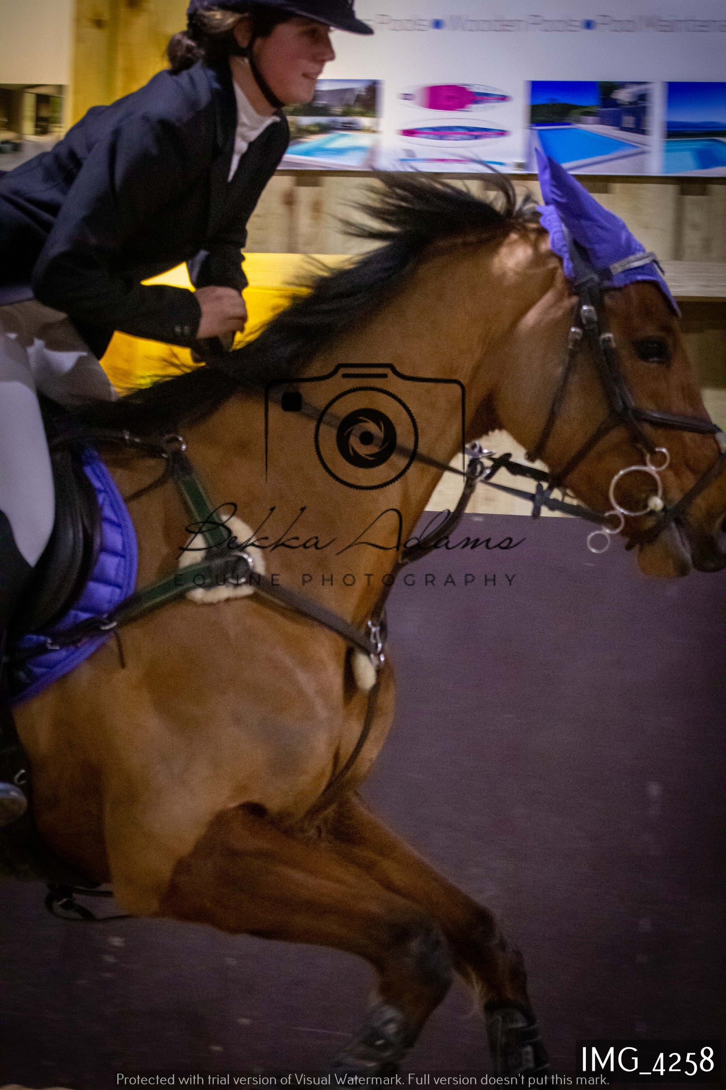 Home Farm Jumping 19th February - Seniors