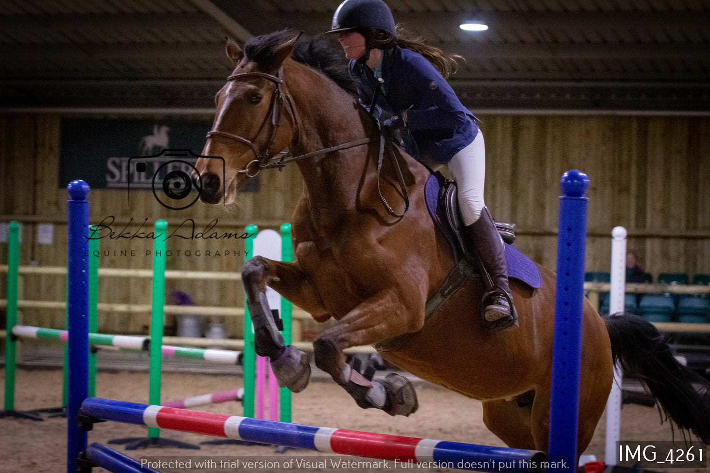 Home Farm Jumping 19th February - Seniors