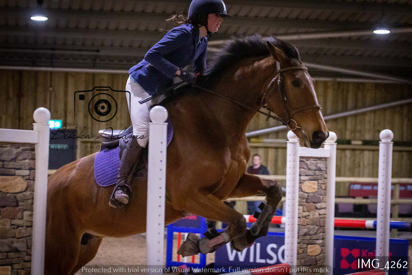 Home Farm Jumping 19th February - Seniors