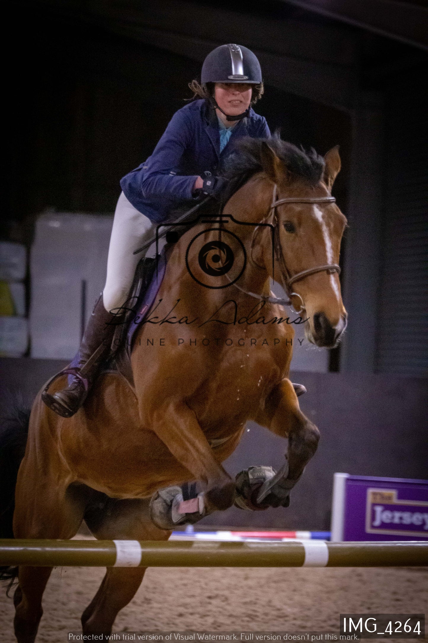 Home Farm Jumping 19th February - Seniors