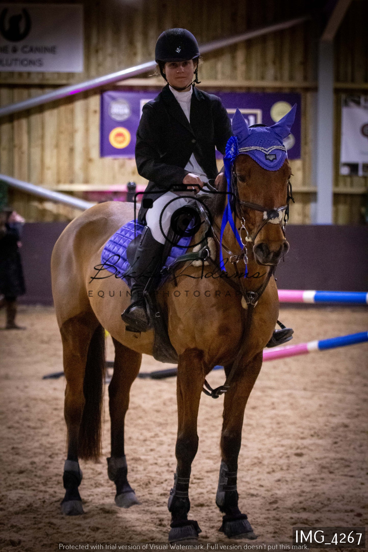 Home Farm Jumping 19th February - Seniors