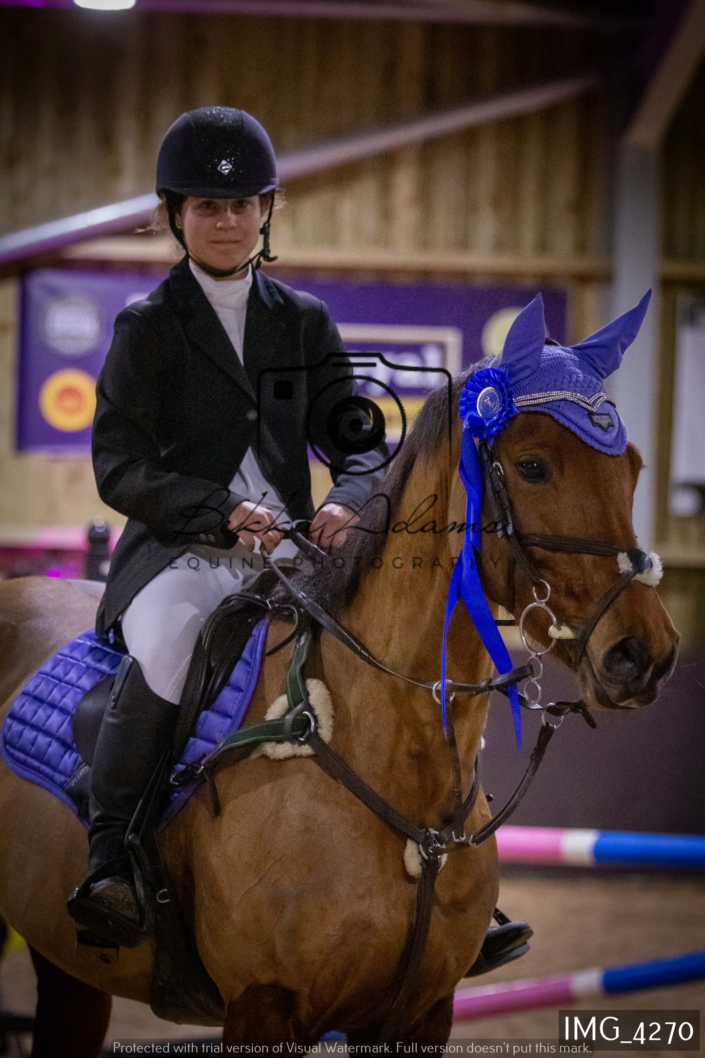 Home Farm Jumping 19th February - Seniors