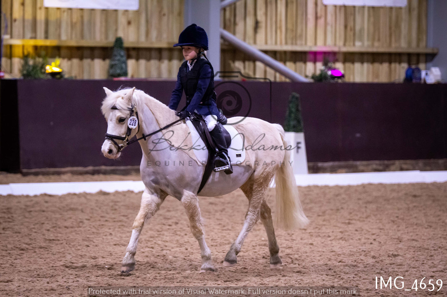 Home Farm Dressage 12th March - Juniors