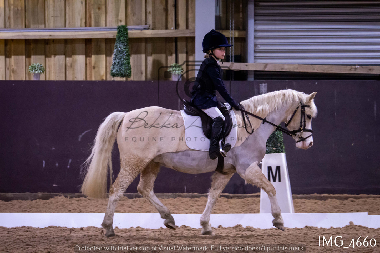 Home Farm Dressage 12th March - Juniors