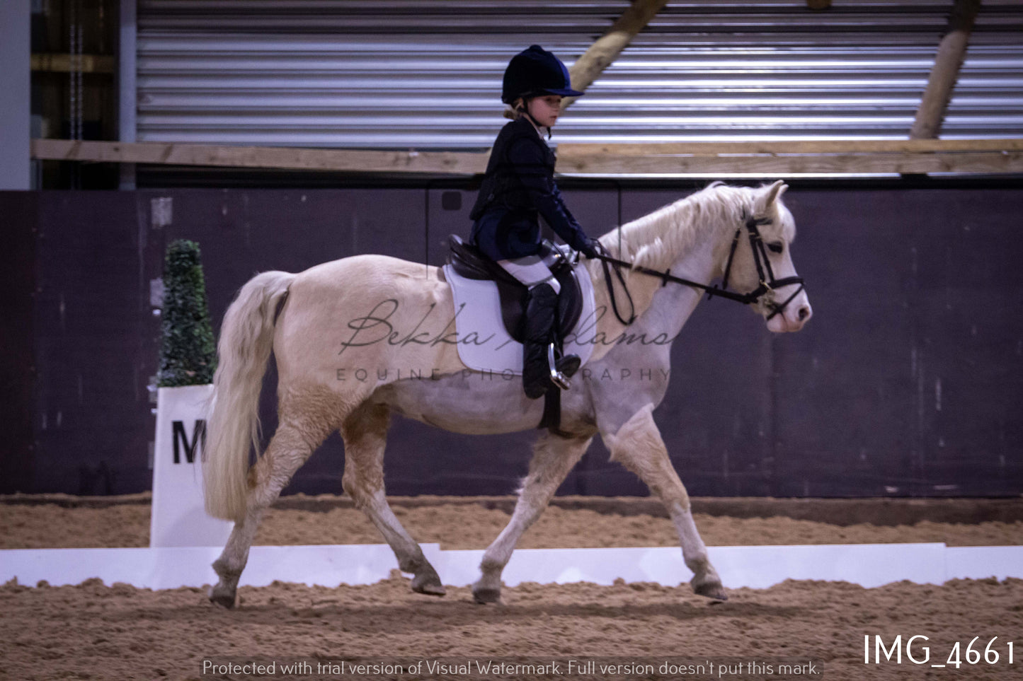 Home Farm Dressage 12th March - Juniors
