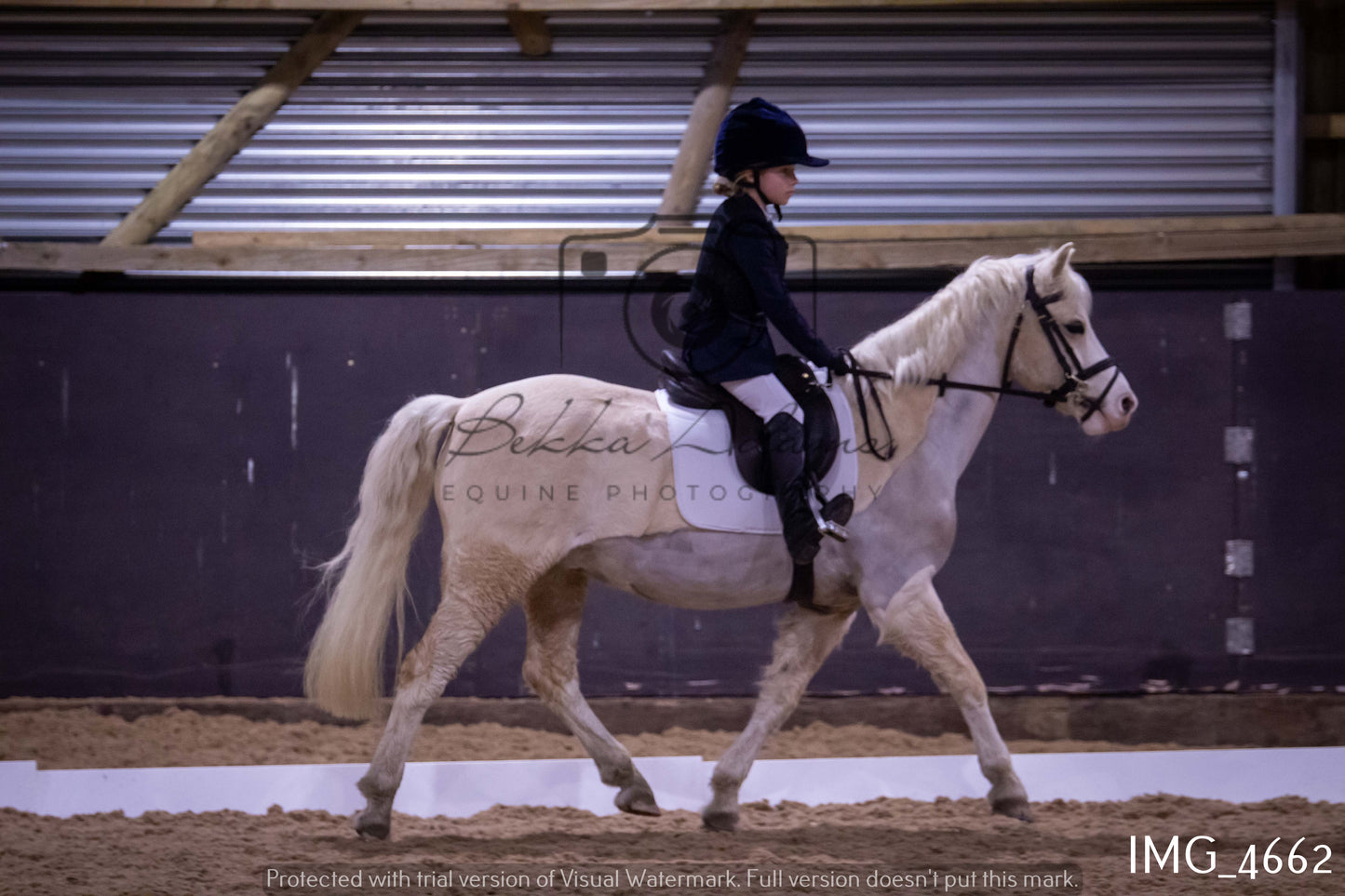 Home Farm Dressage 12th March - Juniors